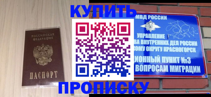 временная регистрация для всех в Палласовке